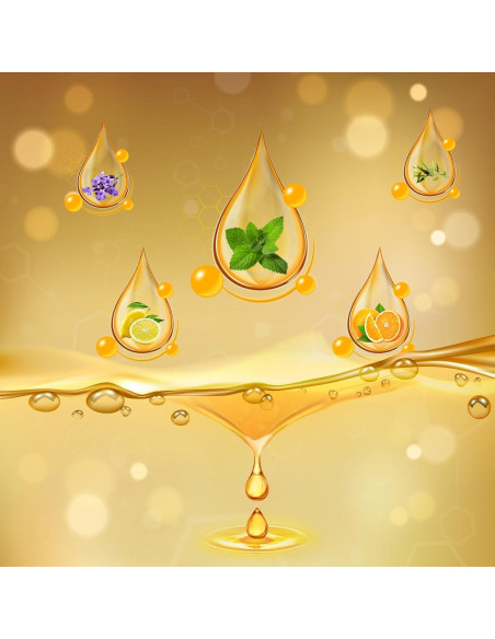 10 Recargas Ambientadores RoyAroma Clips Ventilación Aromas Lavanda, Limón, Menta, Naranja, Eucalipto