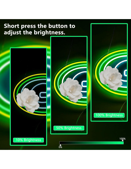 Luz de Neón Verde LED Saly Ror 42.2x30.2 cm Decorativa