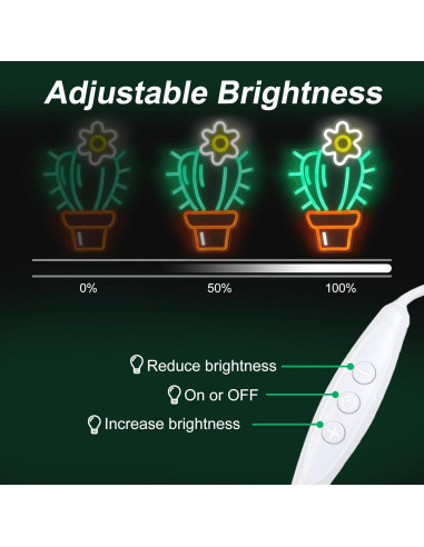 Luz de Neón LED Cactus Verde Mllusxg 42.5x29cm Decorativa