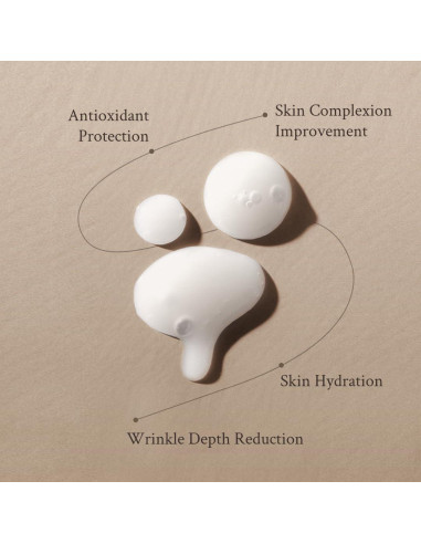 Suero Exfoliante AHA BHA Village 11 Factory 50ml Piel Grasa