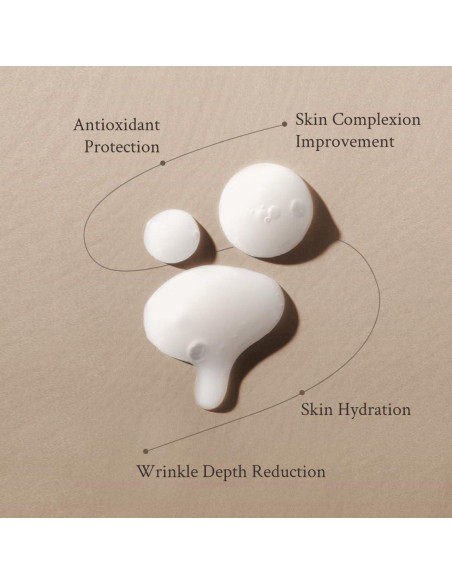 Suero Exfoliante AHA BHA Village 11 Factory 50ml Piel Grasa