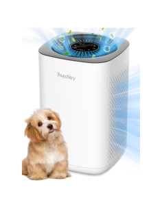 Purificador de Aire Priestley PM1240B para Habitaciones Medianas