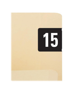 Etiquetas de Año Codificadas por Color Smead 2015, 500 Unidades