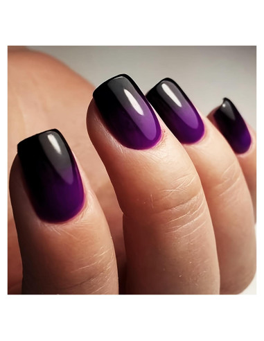 24 Uñas Postizas Cortas Dulyork Negras Moradas Degradado