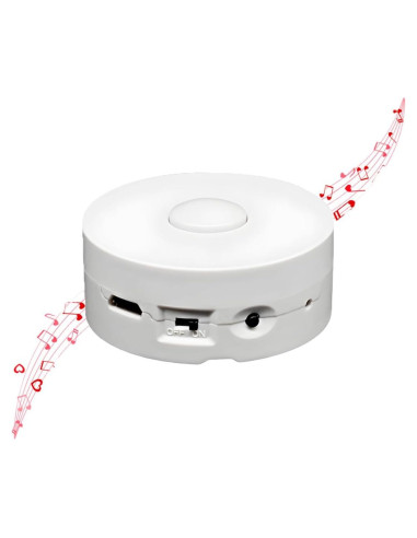 Grabadora de Voz XLW 195 Segundos Recargable USB para Juguetes