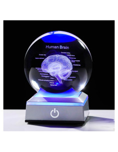 Bola de Cristal 3D Cerebro Humano 8 cm Ornalrist con Base LED