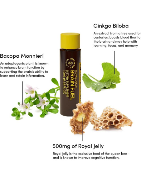 BEEKEEPER'S NATURALS B.LXR Combustible Cerebral 62.37 ml