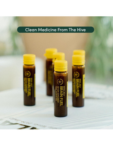 BEEKEEPER'S NATURALS B.LXR Combustible Cerebral 62.37 ml