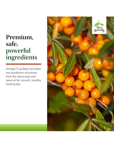 Bálsamo Labial Omega 7 Terry Naturally - Hidratante 3 Unidades