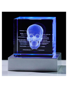 Lámpara Decorativa Calavera 3D Cristal K9 Movdyka LED