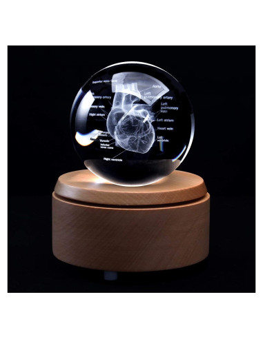 Sujetapapeles 3D Corazón Humano XINDAM con Base LED 8.13 cm