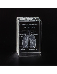 Modelo de Pulmón Humano en Cristal K9 3D Ultrassist 7.69cm 2