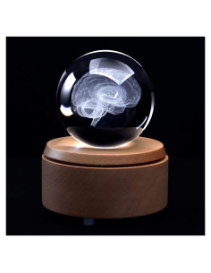 Modelo Anatómico Cerebro Humano 3D en Cristal con Base LED