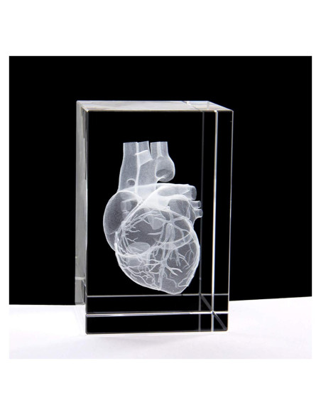Modelo 3D Corazón Humano en Cristal Grabado XINDAM 7.87x5.08 cm