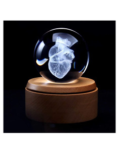 Modelo Anatómico Corazón Humano XINDAM 8.13 cm con Base LED