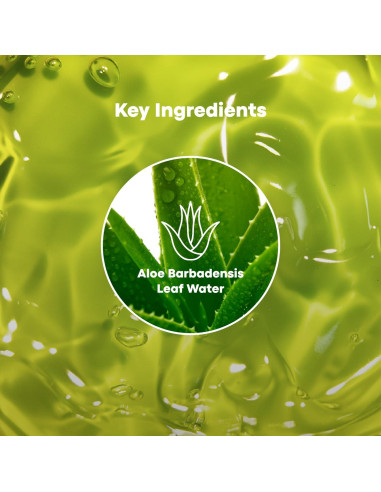 Gel Calmante de Aloe Vera 99% TONYMOLY 250 ml Hidratante