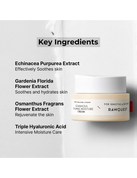 Crema Hidratante Nocturna RAWQUEST con Equinácea 50ml Crema Hidratante Nocturna RAWQUEST con Equinácea 50ml