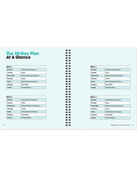 Banda de Resistencia Prevention - Programa 28 Días para Adelgazar