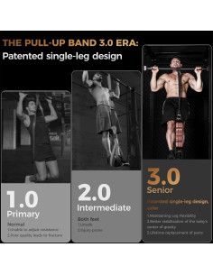 Bandas de Resistencia Ajustables Innstar 75kg para Pull Up 2