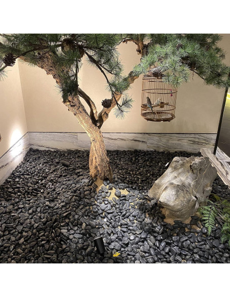 Piedras Negras Pulidas FANTIAN 2.3 kg 1-2 pulgadas Decorativas