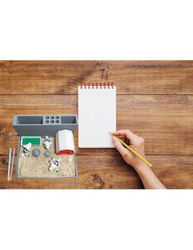 Organizador de Escritorio Jardín Zen Yippeemaker con Arena