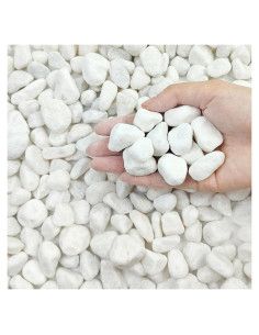 Piedras Blancas para Jardín FANTIAN 4.54 kg 1.27-2.54 cm