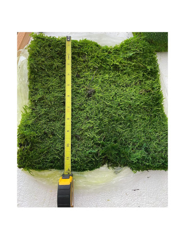Musgo Preservado Verde Natural SZYD 2 Pies Cuadrados Decorativo