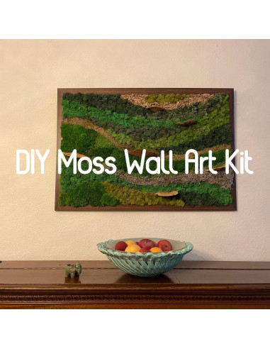 Musgo Preservado Verde Natural SZYD 2 Pies Cuadrados Decorativo