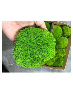 Cojín de Musgo Preservado Natural Verde SZYD 0.14 m Decorativo