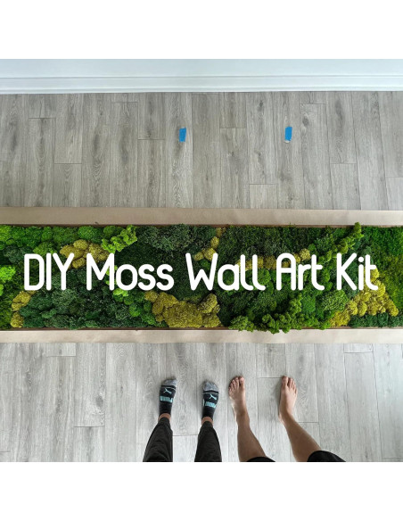 Musgo Preservado Verde Natural SZYD 2 Pies Cuadrados Decorativo