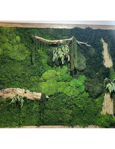 Musgo Preservado Verde Natural SZYD 2 Pies Cuadrados Decorativo