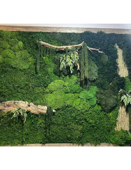 Musgo Preservado Verde Natural SZYD 2 Pies Cuadrados Decorativo