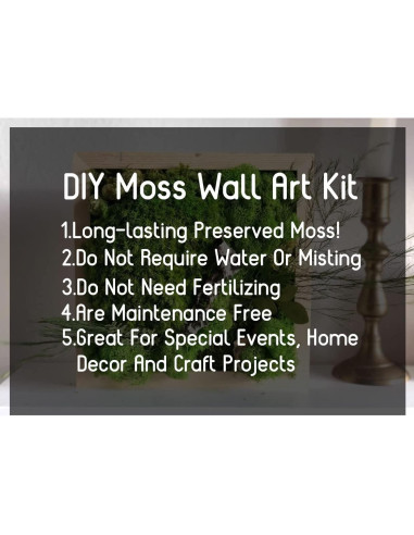 Musgo Preservado Verde Natural SZYD 2 Pies Cuadrados Decorativo