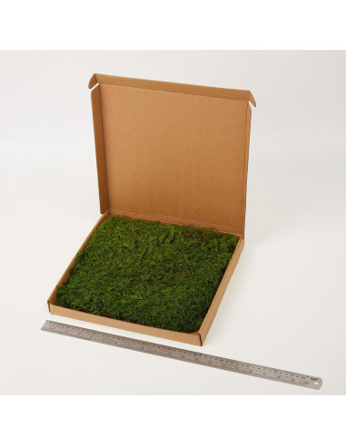 Musgo Preservado Verde Natural SZYD 2 Pies Cuadrados Decorativo