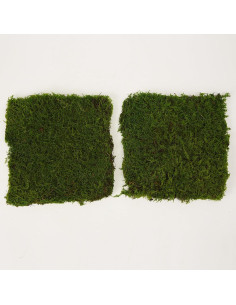 Musgo Preservado Verde Natural SZYD 2 Pies Cuadrados Decorativo 2