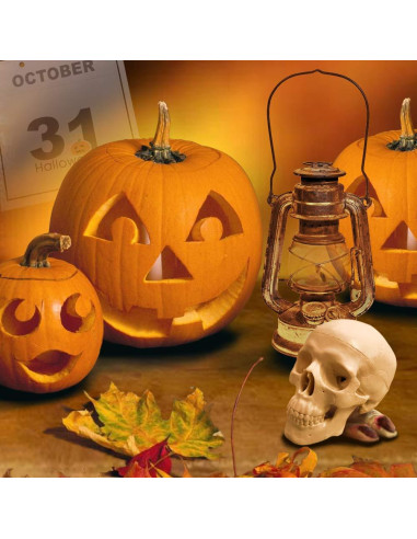 Modelo de Cráneo Humano Mini 3 Piezas EVOTECH 9.9 cm