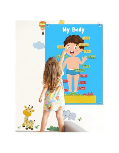 Tablero de Fieltro Cuerpo Humano AKAYOK 36 Piezas Educativo