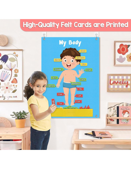 Tablero de Fieltro Cuerpo Humano AKAYOK 36 Piezas Educativo
