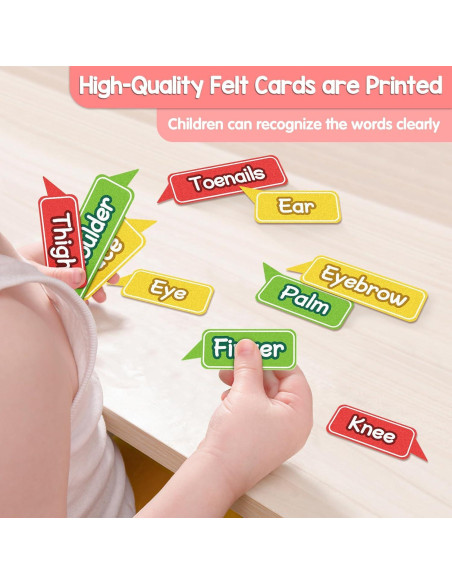 Tablero de Fieltro Cuerpo Humano AKAYOK 36 Piezas Educativo