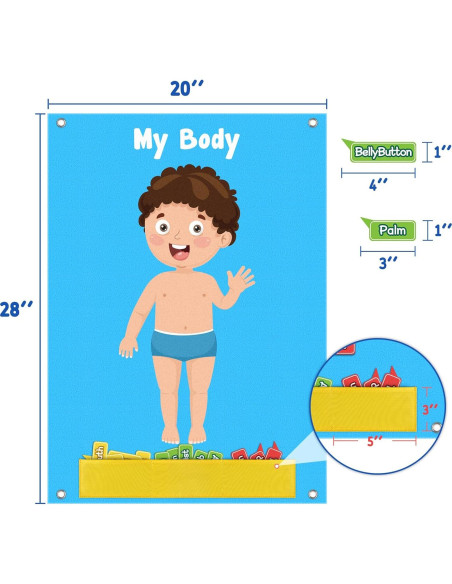 Tablero de Fieltro Cuerpo Humano AKAYOK 36 Piezas Educativo