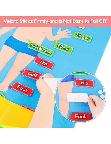 Tablero de Fieltro Cuerpo Humano AKAYOK 36 Piezas Educativo