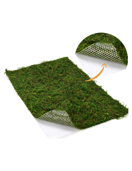 Alfombra de Musgo Seco BYHER Verde 35 x 23 cm para Decoración