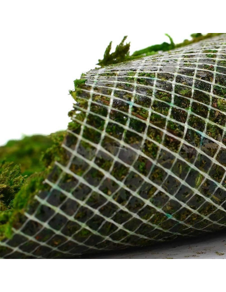 Alfombra de Musgo Seco BYHER Verde 35 x 23 cm para Decoración