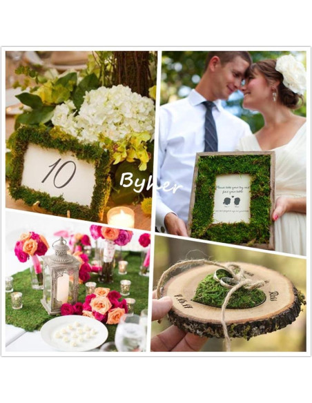 Alfombra de Musgo Seco BYHER Verde 35 x 23 cm para Decoración