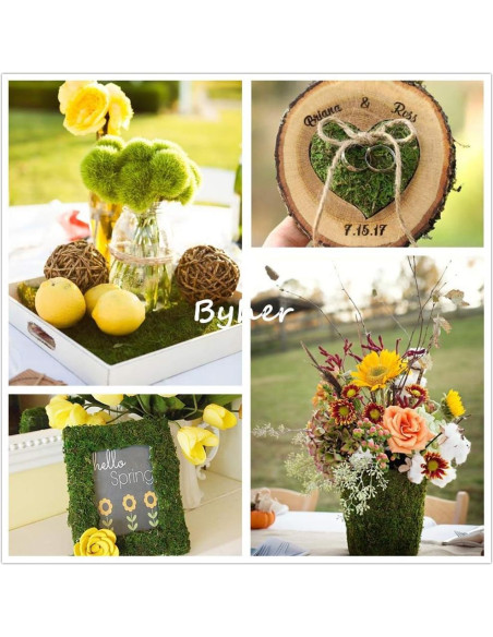 Alfombra de Musgo Seco BYHER Verde 35 x 23 cm para Decoración