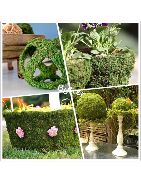 Alfombra de Musgo Seco BYHER Verde 35 x 23 cm para Decoración