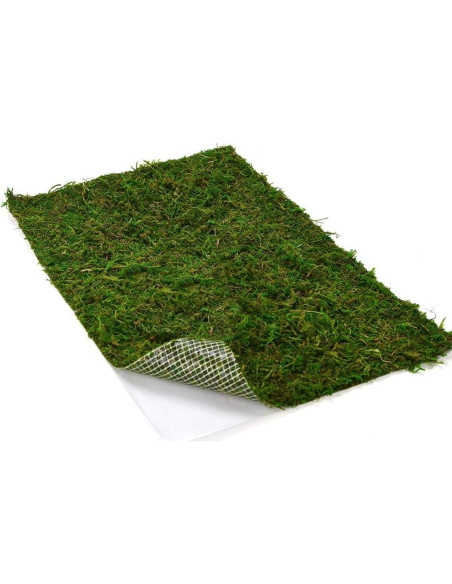 Alfombra de Musgo Seco BYHER Verde 35 x 23 cm para Decoración