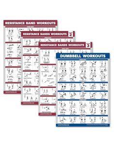 Posters de Entrenamiento Palace Learning - 4 Pack con Bandas