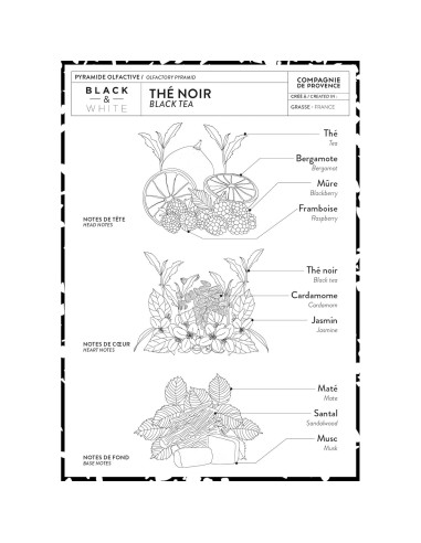 Jabón Líquido y Crema de Manos Compagnie de Provence Té Negro 295ml
