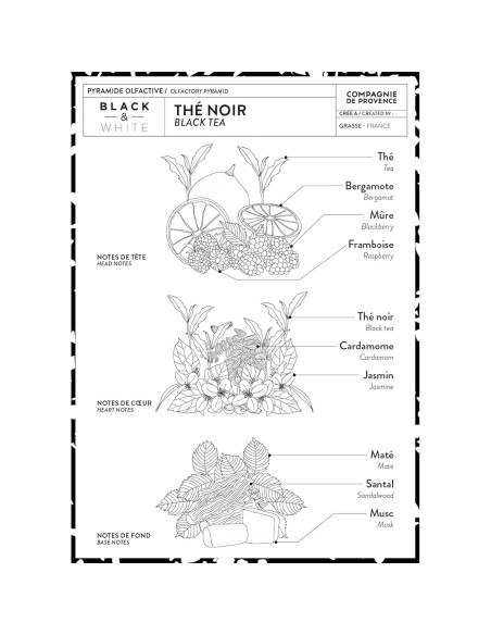 Jabón Líquido y Crema de Manos Compagnie de Provence Té Negro 295ml
